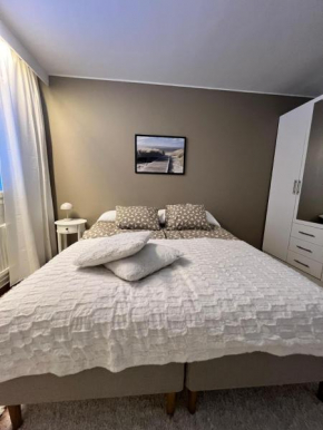 Oulunsalo penthouse, Oulu